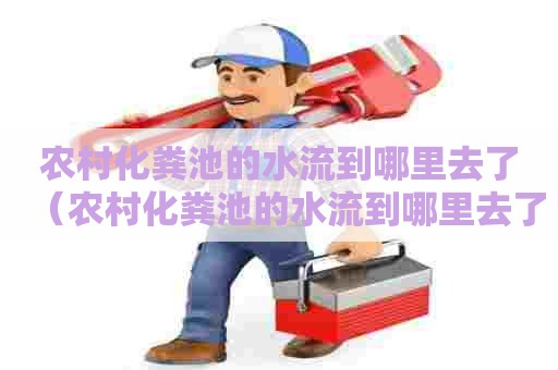 农村化粪池的水流到哪里去了（农村化粪池的水流到哪里去了啊）
