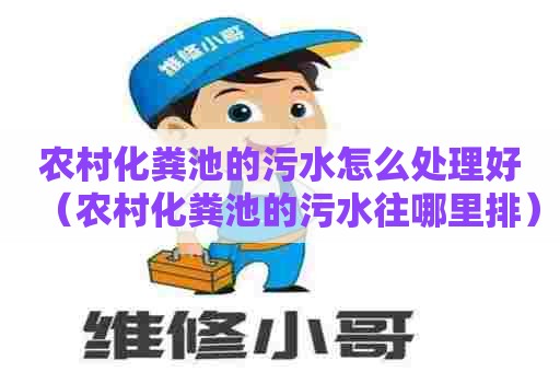 农村化粪池的污水怎么处理好（农村化粪池的污水往哪里排）