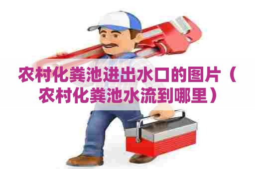 农村化粪池进出水口的图片（农村化粪池水流到哪里）