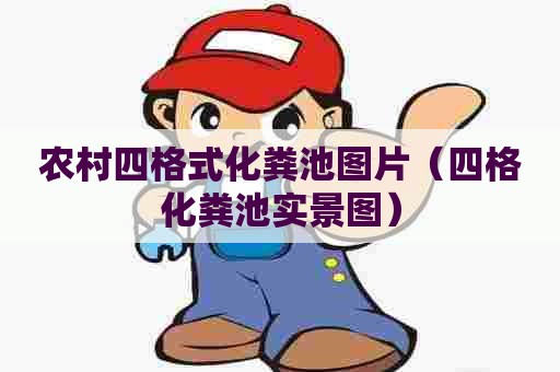 农村四格式化粪池图片（四格化粪池实景图）
