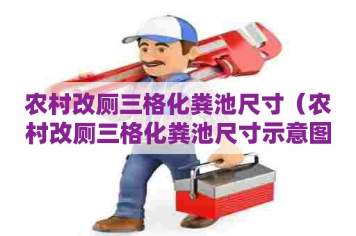 农村改厕三格化粪池尺寸（农村改厕三格化粪池尺寸示意图）
