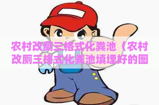 农村改厕三格式化粪池（农村改厕三格式化粪池填埋好的图片视频）
