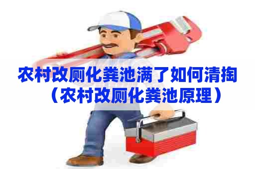 农村改厕化粪池满了如何清掏（农村改厕化粪池原理）
