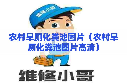 农村旱厕化粪池图片（农村旱厕化粪池图片高清）