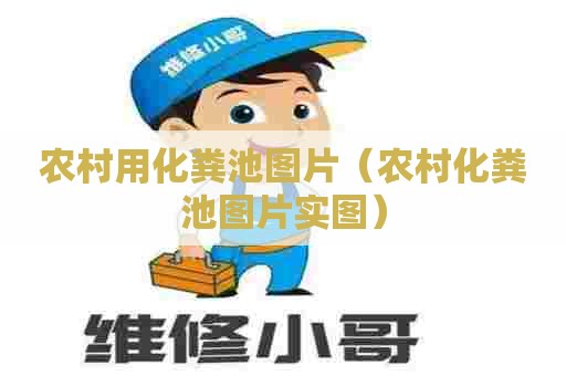 农村用化粪池图片（农村化粪池图片实图）