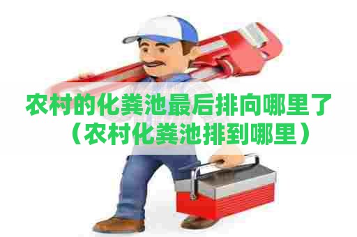 农村的化粪池最后排向哪里了（农村化粪池排到哪里）