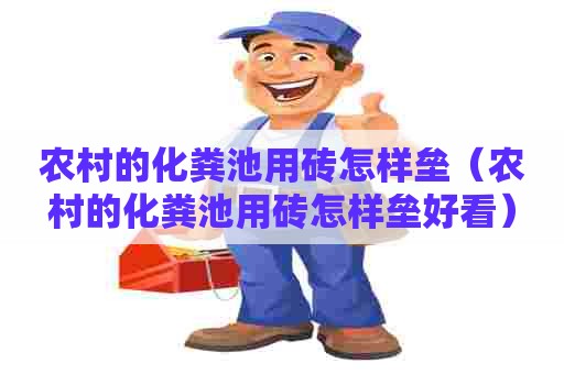 农村的化粪池用砖怎样垒（农村的化粪池用砖怎样垒好看）