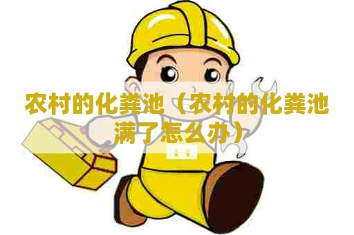 农村的化粪池（农村的化粪池满了怎么办）