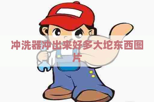 冲洗器冲出来好多大坨东西图片