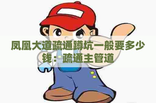 凤凰大道疏通蹲坑一般要多少钱:疏通主管道 凤凰大道疏通蹲坑一般要多少钱:疏通主管道