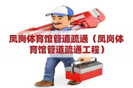 凤岗体育馆管道疏通(凤岗体育馆管道疏通工程) 凤岗体育馆管道疏通(凤岗体育馆管道疏通工程)