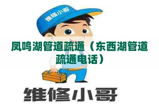 凤鸣湖管道疏通（东西湖管道疏通电话）