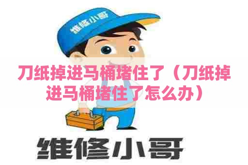 刀纸掉进马桶堵住了（刀纸掉进马桶堵住了怎么办）