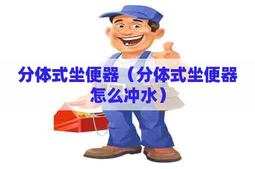 分体式坐便器（分体式坐便器怎么冲水）