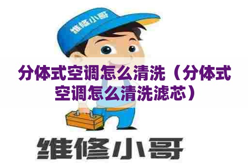 分体式空调怎么清洗（分体式空调怎么清洗滤芯）