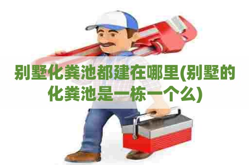 别墅化粪池都建在哪里(别墅的化粪池是一栋一个么) 别墅化粪池都建在哪里(别墅的化粪池是一栋一个么)