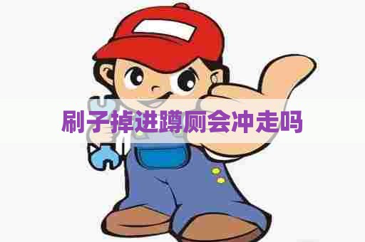 刷子掉进蹲厕会冲走吗
