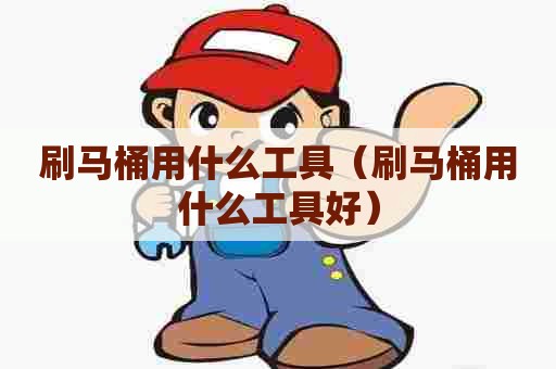 刷马桶用什么工具（刷马桶用什么工具好）