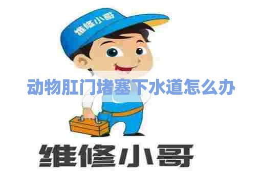 动物肛门堵塞下水道怎么办