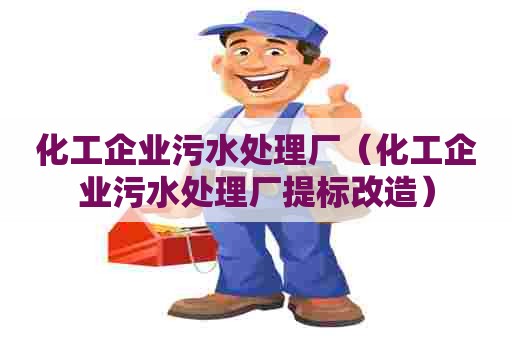 化工企业污水处理厂（化工企业污水处理厂提标改造）