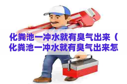 化粪池一冲水就有臭气出来（化粪池一冲水就有臭气出来怎么回事）