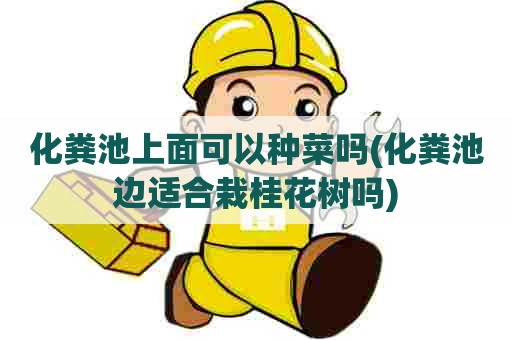 化粪池上面可以种菜吗(化粪池边适合栽桂花树吗) 化粪池上面可以种菜吗(化粪池边适合栽桂花树吗)