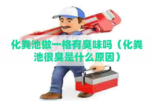 化粪池做一格有臭味吗（化粪池很臭是什么原因）