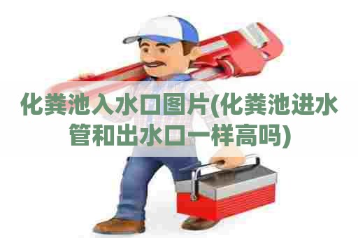 化粪池入水口图片(化粪池进水管和出水口一样高吗) 化粪池入水口图片(化粪池进水管和出水口一样高吗)