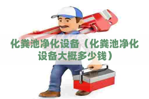 化粪池净化设备（化粪池净化设备大概多少钱）