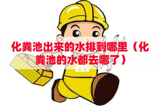 化粪池出来的水排到哪里（化粪池的水都去哪了）