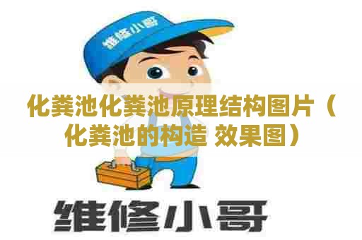 化粪池化粪池原理结构图片（化粪池的构造 效果图）