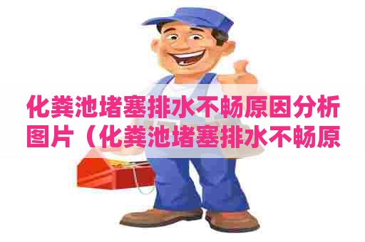 化粪池堵塞排水不畅原因分析图片（化粪池堵塞排水不畅原因分析图片大全）