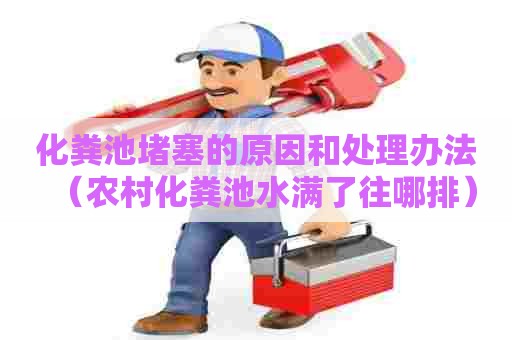 化粪池堵塞的原因和处理办法(农村化粪池水满了往哪排) 化粪池堵塞的原因和处理办法(农村化粪池水满了往哪排)
