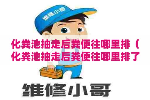 化粪池抽走后粪便往哪里排（化粪池抽走后粪便往哪里排了）