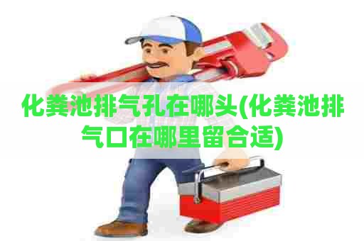 化粪池排气孔在哪头(化粪池排气口在哪里留合适) 化粪池排气孔在哪头(化粪池排气口在哪里留合适)