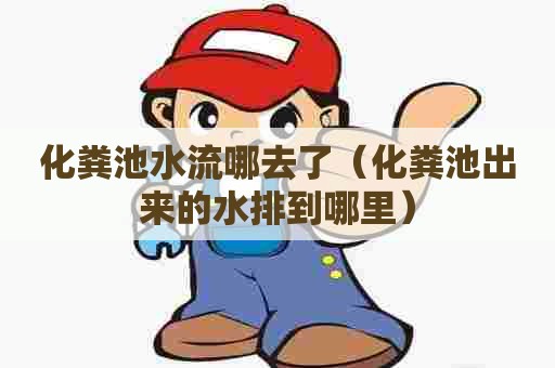 化粪池水流哪去了（化粪池出来的水排到哪里）