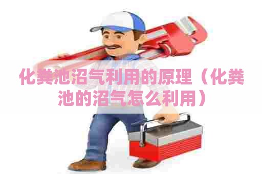 化粪池沼气利用的原理（化粪池的沼气怎么利用）