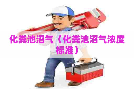 化粪池沼气（化粪池沼气浓度标准）