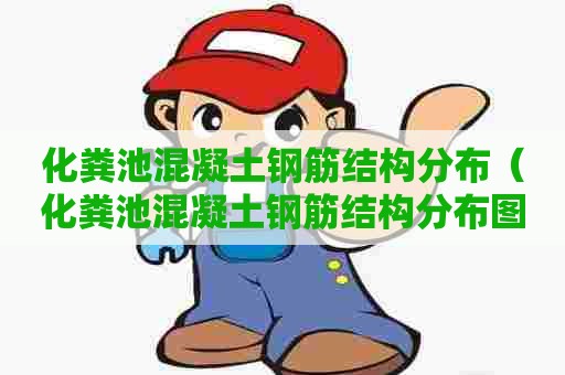 化粪池混凝土钢筋结构分布（化粪池混凝土钢筋结构分布图）