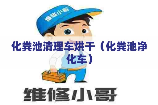 化粪池清理车烘干（化粪池净化车）