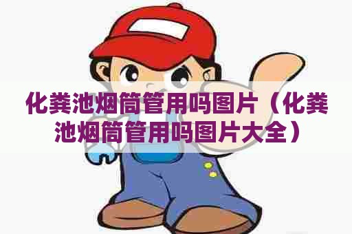 化粪池烟筒管用吗图片（化粪池烟筒管用吗图片大全）