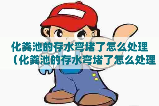 化粪池的存水弯堵了怎么处理（化粪池的存水弯堵了怎么处理好）