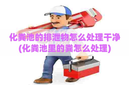 化粪池的排泄物怎么处理干净(化粪池里的粪怎么处理) 化粪池的排泄物怎么处理干净(化粪池里的粪怎么处理)