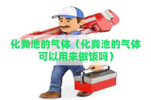 化粪池的气体（化粪池的气体可以用来做饭吗）