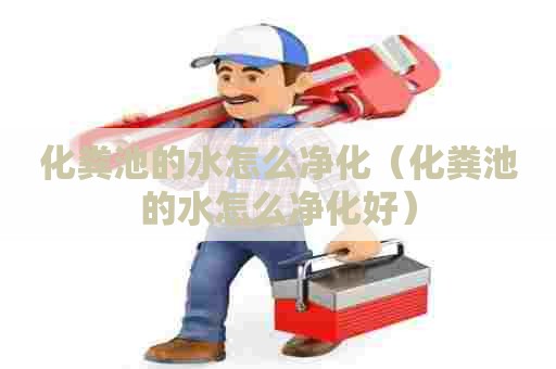 化粪池的水怎么净化（化粪池的水怎么净化好）