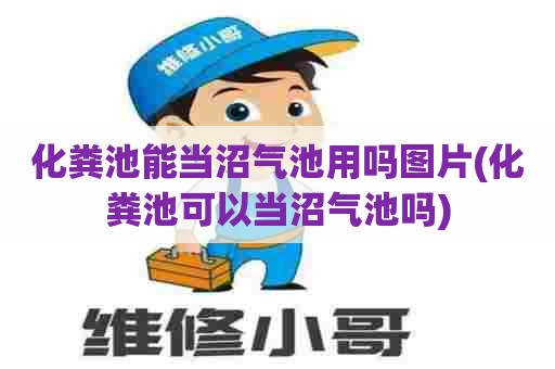 化粪池能当沼气池用吗图片(化粪池可以当沼气池吗)