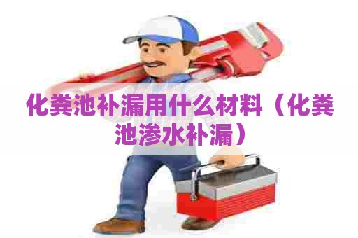 化粪池补漏用什么材料（化粪池渗水补漏）