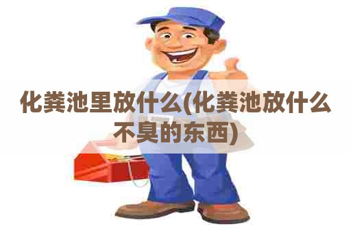 化粪池里放什么(化粪池放什么不臭的东西)