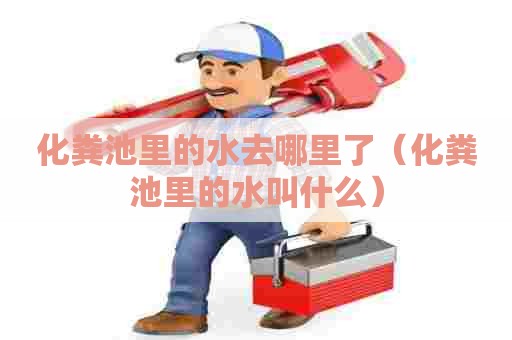 化粪池里的水去哪里了（化粪池里的水叫什么）