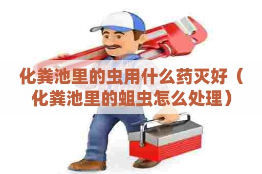 化粪池里的虫用什么药灭好（化粪池里的蛆虫怎么处理）